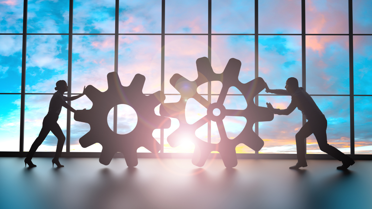 Cultura organizacional de alta performance